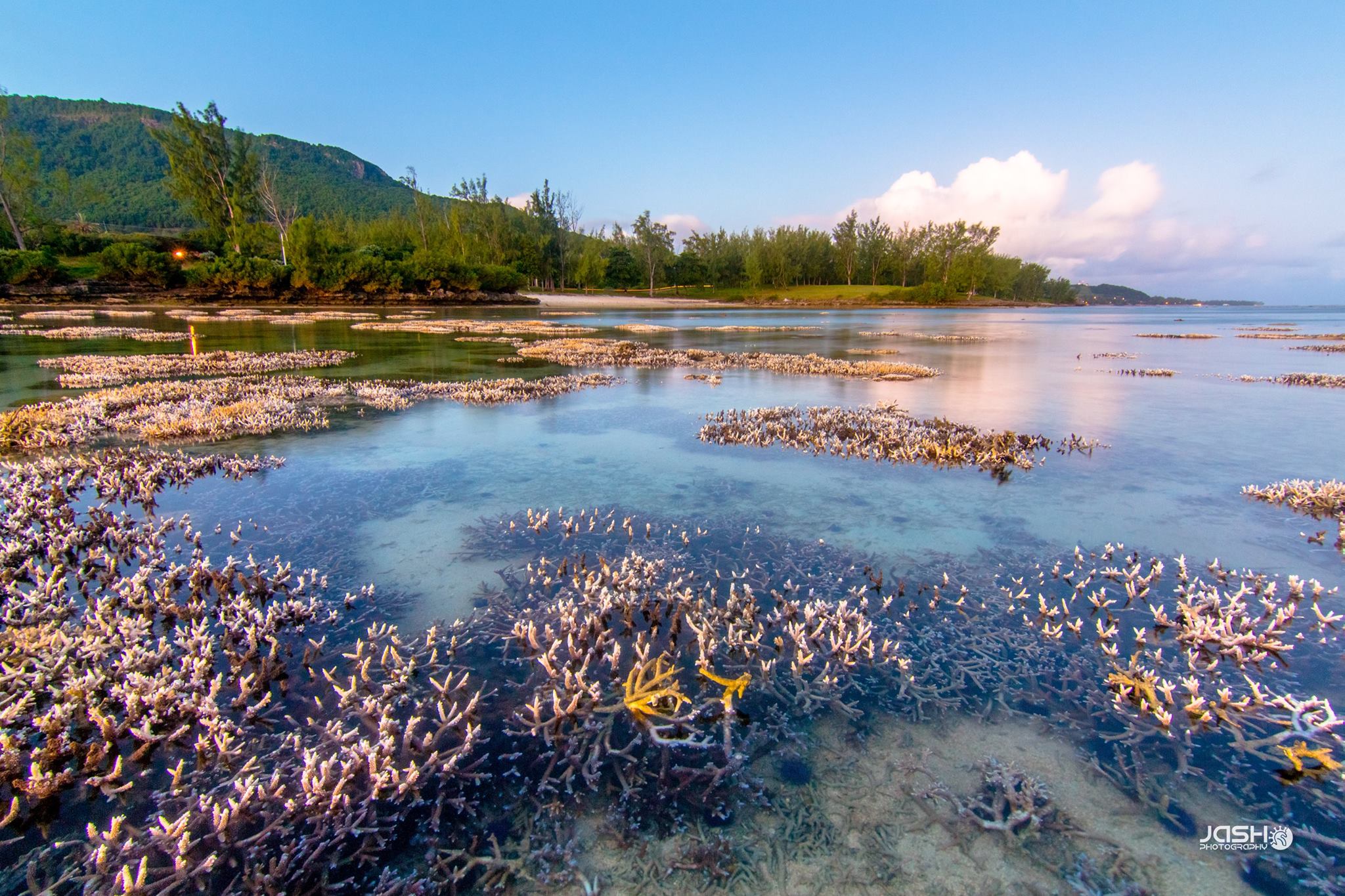 ile maurice