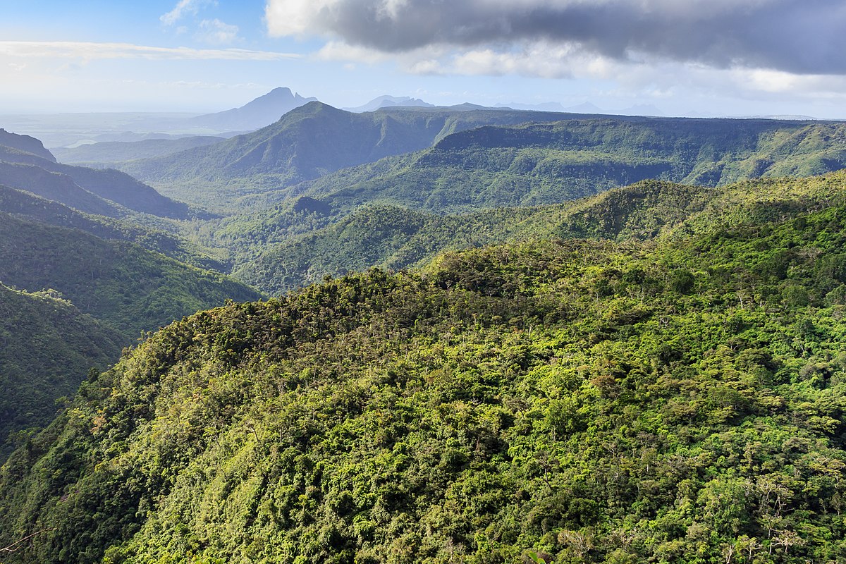Mauritius_Black-River-Gorges-National-Park-01