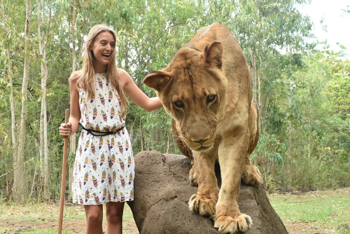 Walk-with-Lions-Mauritius-1