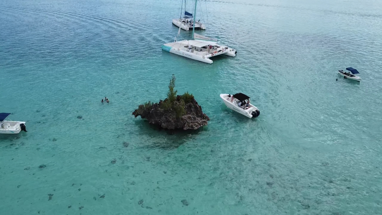 dji_fly_20230813_132902_0_1691918942596_photo_low_quality