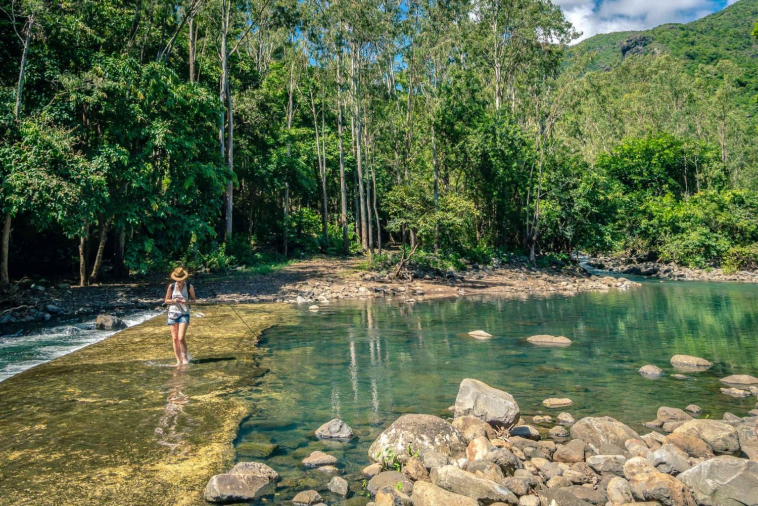 hiking-the-black-river-gorges-full-day-incl-lunch-transfer-2359813